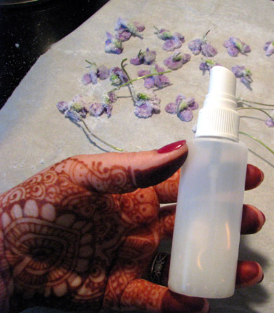 candied_violets_spray_bottl Our Favorite Spray Bottle (literally what it's called) from Artistic Adornment, used to coat violets with milk for perfect results in candying violets