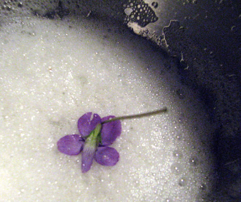 egg_white_violets egg white brushing, reverse