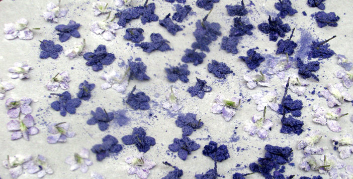 food_coloring_dying_natural food colored and natural sugar candied violets shown side by side before putting in the oven