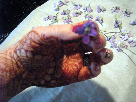 hold_violet_to_spray how to hold the violet to spray milk onto it