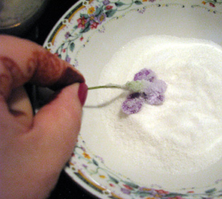 sugaring_violet dipping violets in sugar - sugaring the violets while holding them by the stem