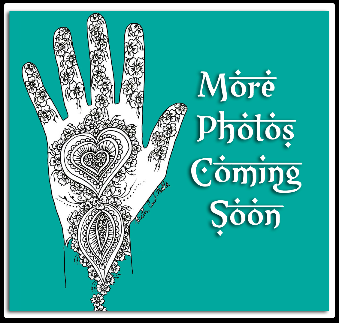 More henna photos coming soon! Thanks for your patience while we rebuild our new website at www.HennaByHeather.com